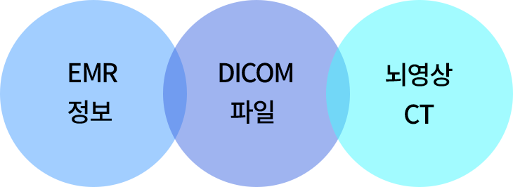 EMR 정보 DICOM 파일 뇌영상 CT